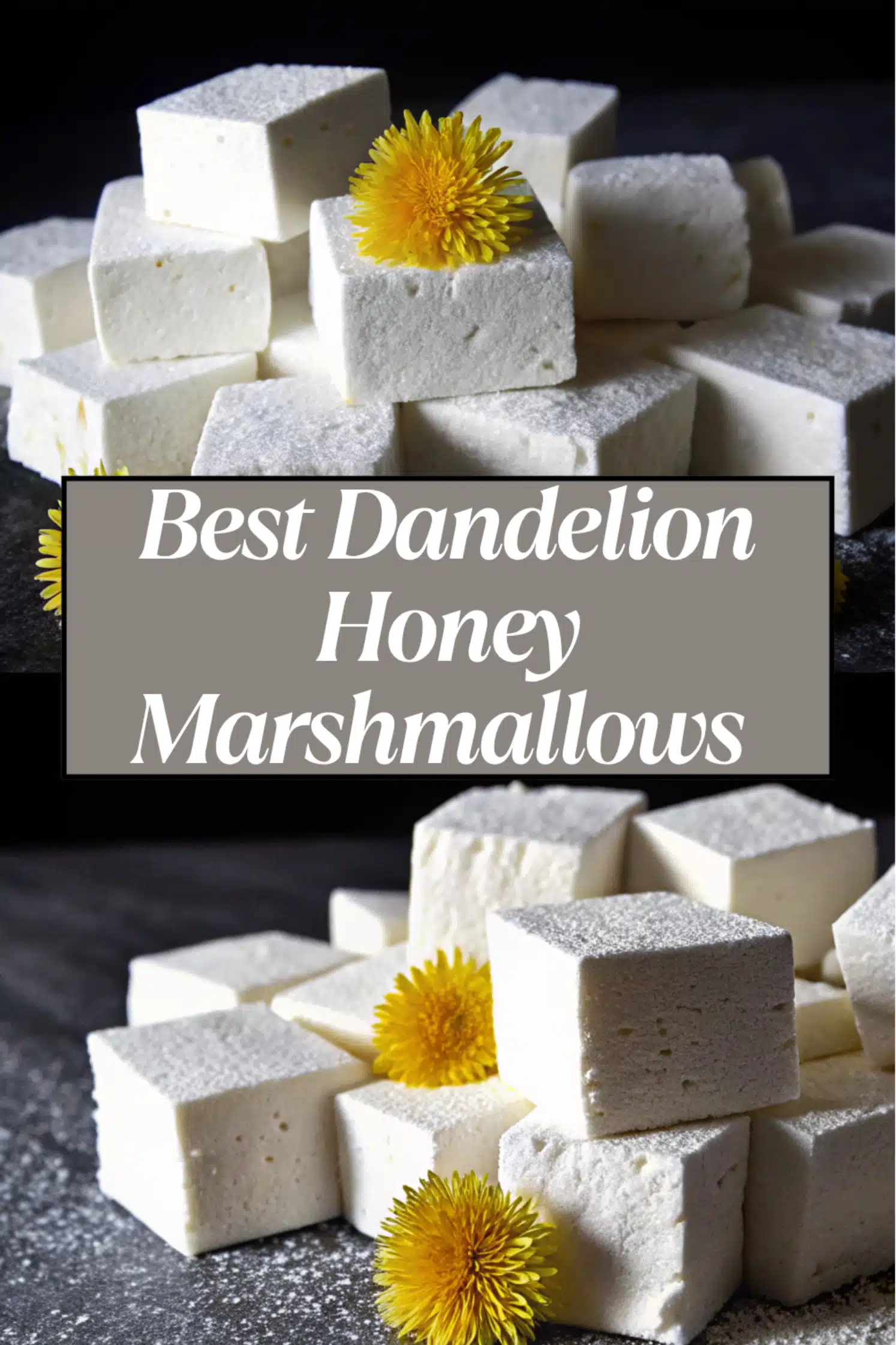 Dandelion Honey Marshmallows pale white fluffy squares dusted with powdered sugar on a white marble surface with fresh dandelion flowers and honey alongside