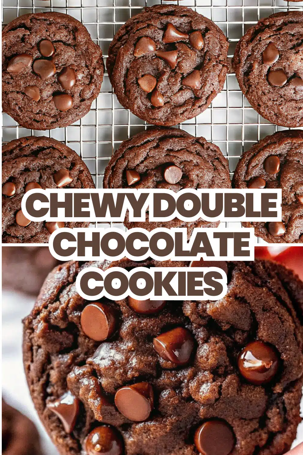 Double Chocolate Chip Cookies The Most Chewy and Fudgy Brownie Cookie You Will Bake 48 Chewy Double Chocolate Cookies