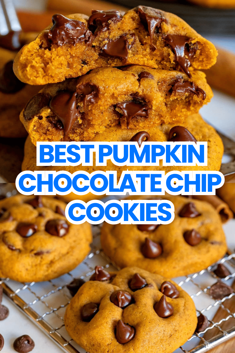 Best Pumpkin Chocolate Chip Cookies soft thick golden with mini chips on white plate on marble