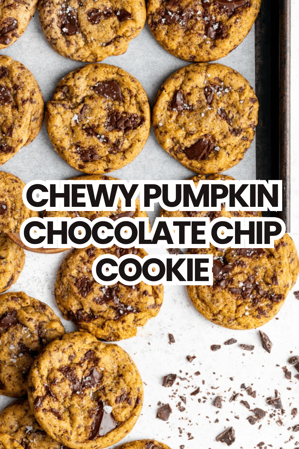 Chewy Pumpkin Chocolate Chip Cookie golden thick with chocolate chips on white plate on marble