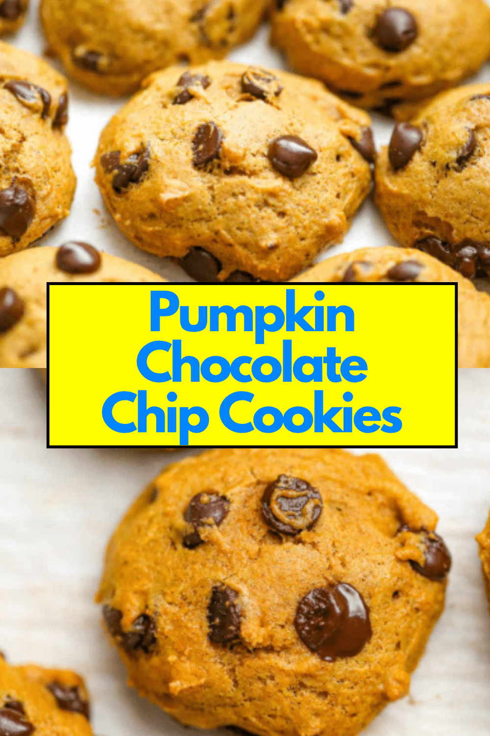 Pumpkin Chocolate Chip Cookies