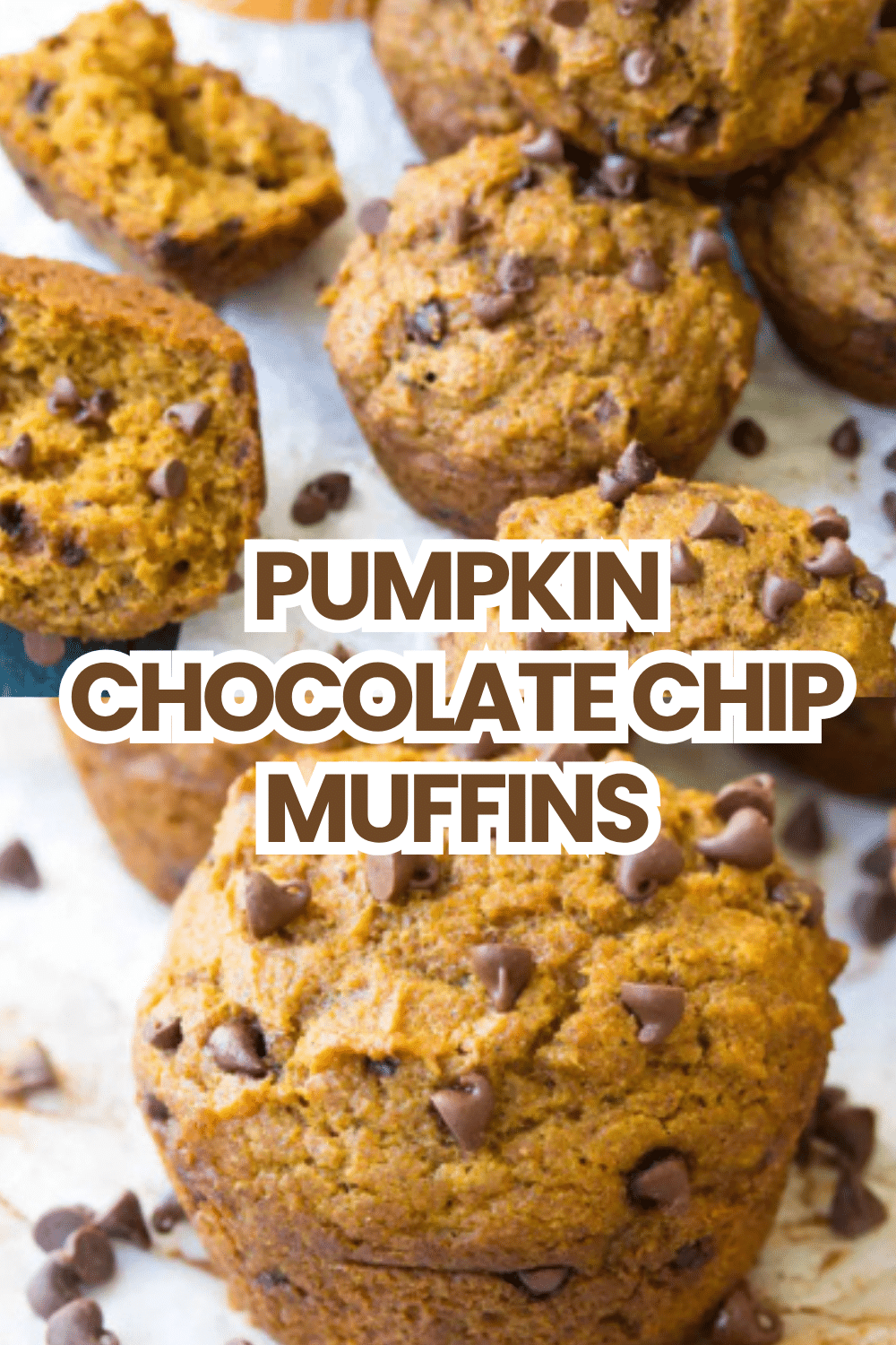 Pumpkin Chocolate Chip Muffins The Most Easy Moist Pumpkin Puree Brown Sugar Oil Mini Semi-Sweet Chip Cinnamon Spice Individual Muffin 50 Pumpkin Chocolate Chip Muffins