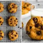 Close-up of a Pumpkin Chocolate Chip Cookie showing the soft cream cheese enriched fall crumb with cinnamon-pumpkin spice rolling sugar and mini chocolate chips